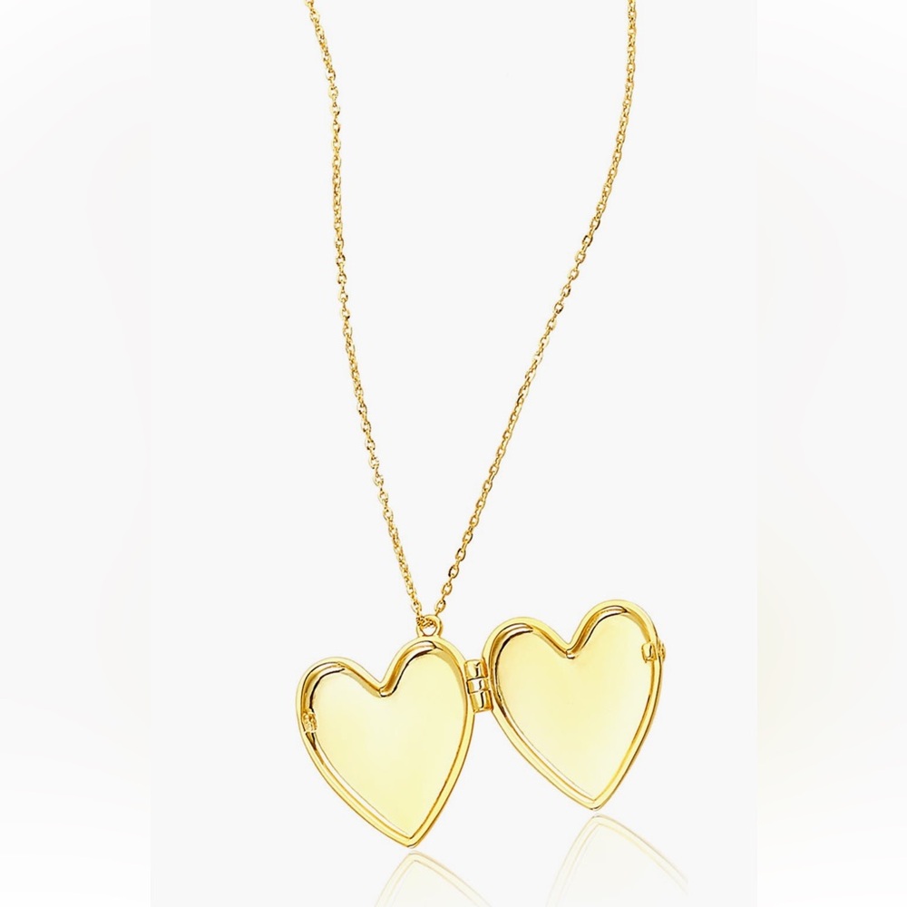 Adornia 14K Gold Plated Heart Locket Pendant Necklace NWT and Bag